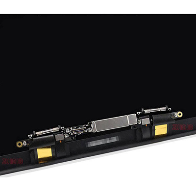 Gris de l'espace d'Assemblée d'affichage de TFT, remplacement d'écran d'EMC 3456 Macbook A2289